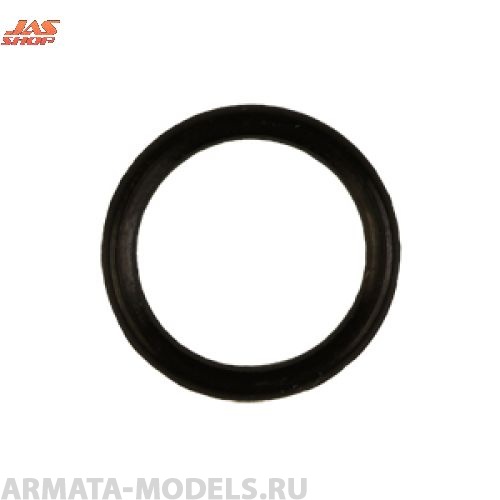 5074 Прокладка корпуса распылителя