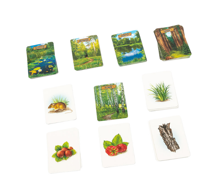 BG11016EUR Игра настольная Лесные истории