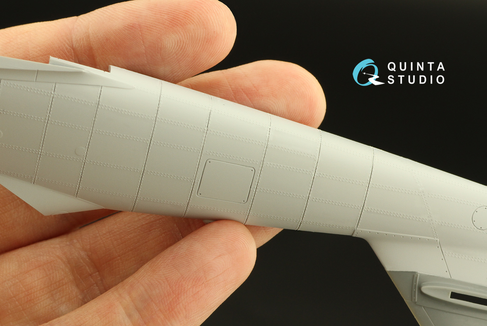 QRV-030 Сдвоенные клепочные ряды (размер клепки 0.25 mm, интервал 1.0 mm), черные, длина 5,8 m