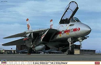 09917 Самолет F-14A